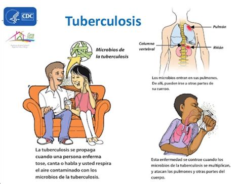 explica a través de un esquema o dibuja cómo se transmite la