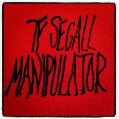 Manipulator Double Album By Ty Segall Ty Segall Neon Signs Vinyl