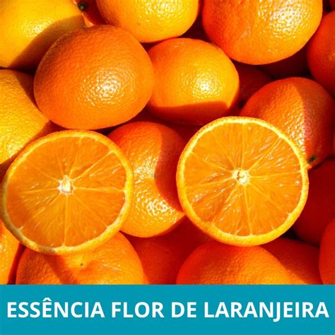 Folhas De Laranjeira