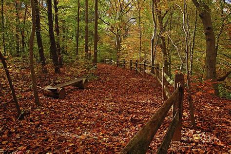 Gunpowder Falls State Park Maryland State Parks Autumn Park Park