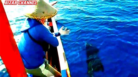 MANCING TROLLING Ikan Layaran Marlin YouTube