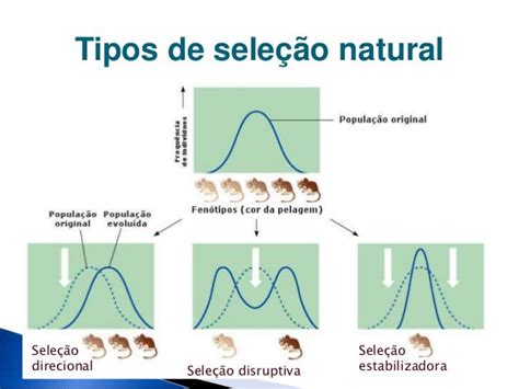 Evolução Biológica 1