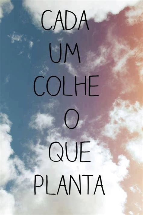 Cada Um Colhe O Que Planta Quem Planta Colhe Frases Inspiracionais