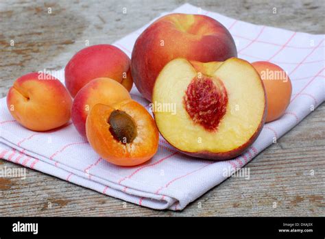 Peach and Apricot Stock Photo - Alamy