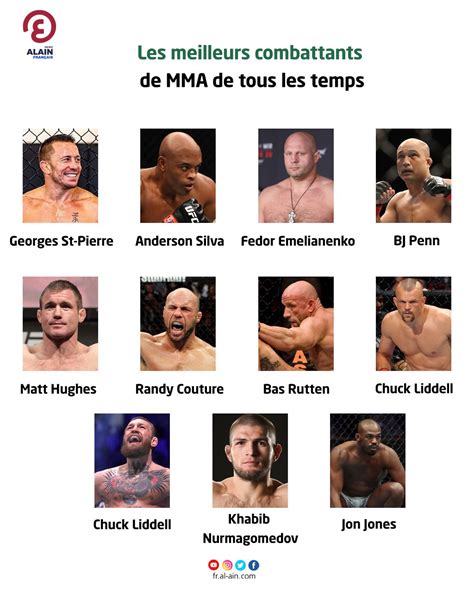 Les Meilleurs Combattants De Mma De Tous Les Temps Infographie