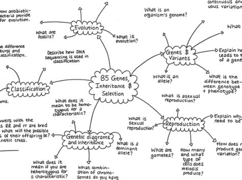 Biology Mind Map