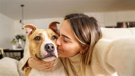 Los Beneficios De Tener Una Mascota En Tu Vida Glamour