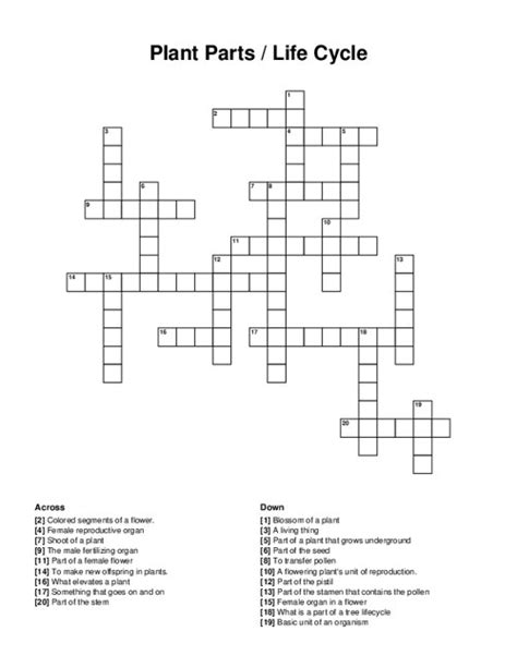 Flower Part Definitions Crossword Puzzle Answer Key Best Flower Site