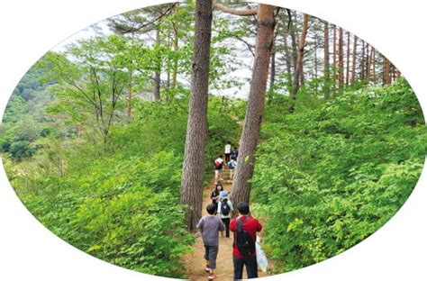 산림유전자원을 보다 다양하게