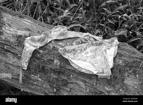 Bikini Tree Hi Res Stock Photography And Images Alamy