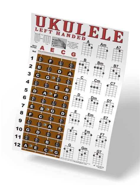 Buy Left Handed Ukulele Fretboard And Easy Beginner Chord Chart