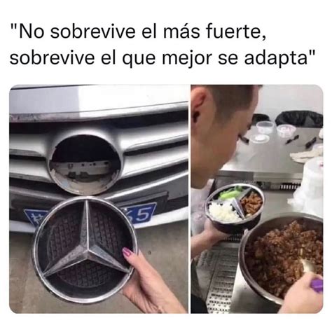 No sobrevive el más fuerte sobrevive el que mejor se adapta Memes