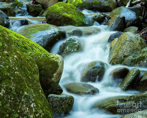 Moss Covered Rocks Photograph By Alana Ranney Fine Art America