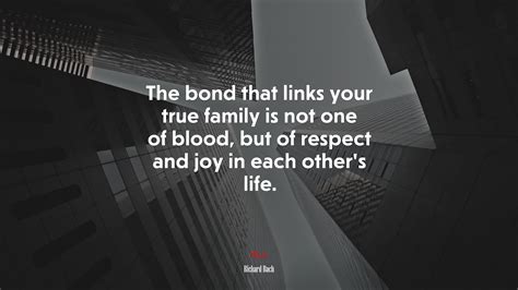 Bonding Sister Bond Quotes 5