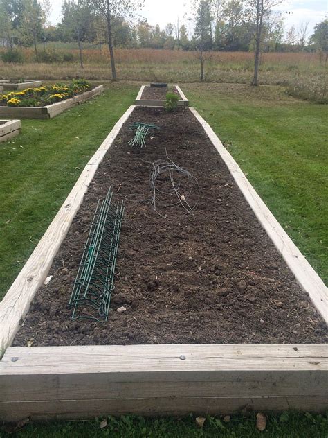 MYSTERY SOLVED | The Impatient Gardener