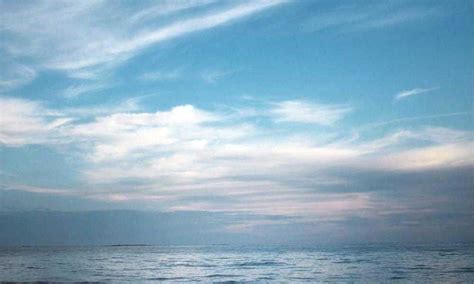 Briddy Li Sex Sculpturecreationtips