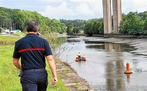 Malgré les efforts le dauphin est mort en sortant de la rivière de