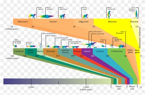 Download As Image - Geological Timeline, HD Png Download - 1920x1166 ...