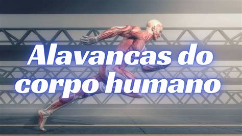 Sistema De Alavancas Do Corpo Humano Youtube