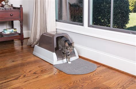 Где купить по выгодной цене робот-туалет для кошек и котов