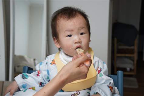 10개월아기 이유식양 네이버 블로그