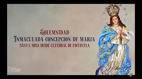 Santa Misa Solemnidad Inmaculada Concepción De María Envivo Youtube