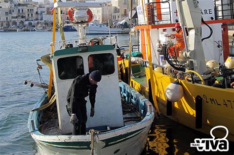 Trani Recuperato Il Peschereccio Affondato A Capodanno