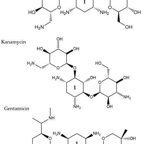 Chemical structure of conserved ring structure in β lactam antibiotics