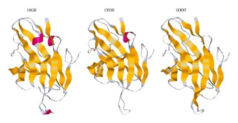 Three Different D Structures Of Diphtheria Toxin Receptor Binding