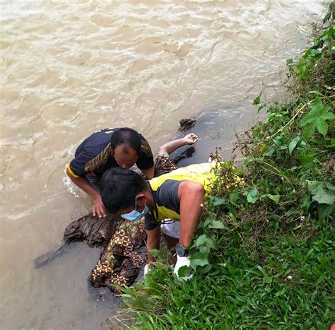 Gempar Mayat Perempuan Tak Beridentitas Ditemukan Di Pinggir Sungai