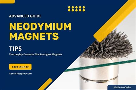 Unlock Neodymium Magnet Potential Advanced Buyer S Guide