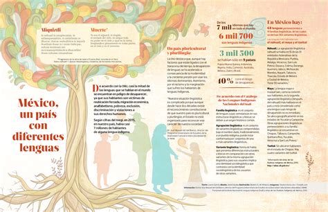 Infograf A M Xico Y Sus Lenguas Ind Genas Ciencia Unam Hot Sex