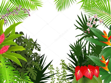 Beautiful Tropical Forest Background Stock Vector By ©idesign2000 10366588