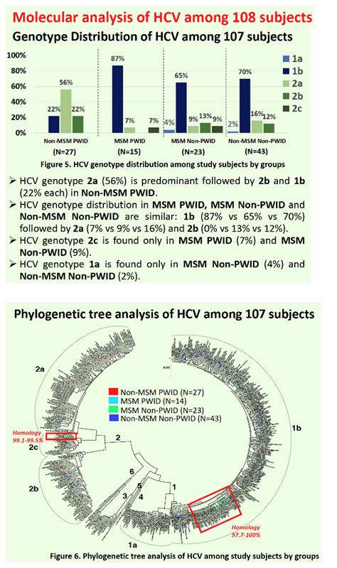 Exploring Hepatitis C Virus Transmission Among People Who Inject Drugs