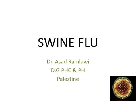 Ppt Swine Flu Powerpoint Presentation Free Download Id5108748