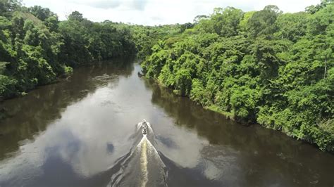 Guyane expédition aux Monts Tumuc Humac YouTube