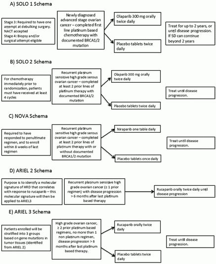 Epithelial Ovarian Cancer Low Malignant Potential And Sex Cord