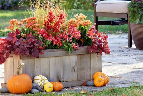 Fall Garden Design Ideas Garden Gate