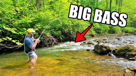 Fishing A Tiny Hidden Creek For Big Smallmouth Bass Smallmouth Bass