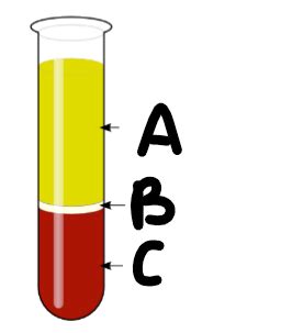 Red Blood Cells Flashcards Quizlet