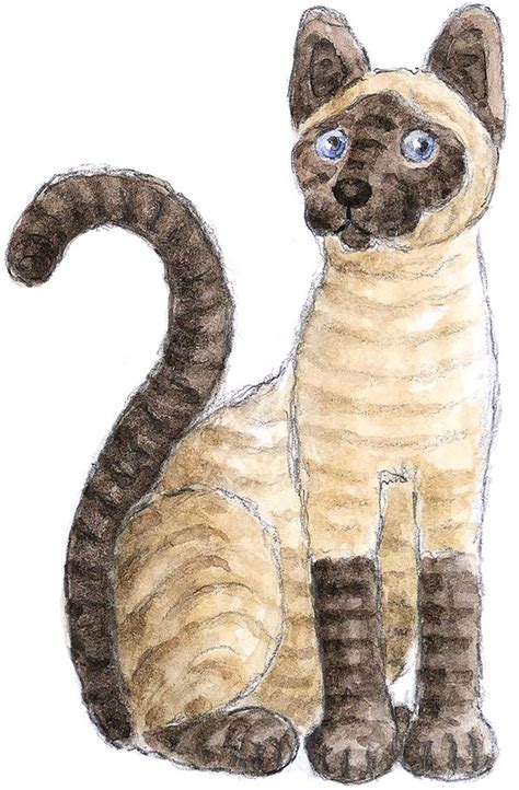 realistic crochet siamese cat pattern