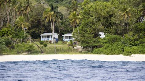 Freediving With Humpback Whales In Tonga Freediving Central