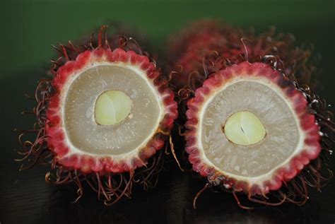 Rambutan Seeds