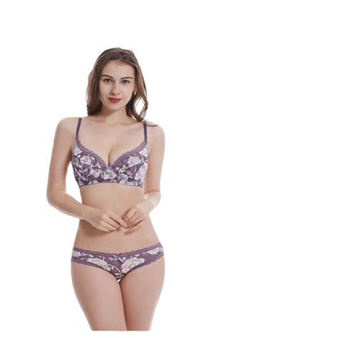 Lace Embroidery Bra Panties Set Adjustable Push Up Brassiere Sexy Lingerie Set SHEIN USA