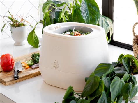 Lomi Compost Machine Green Queen