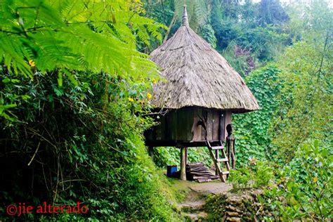 House That Built Me Philippines Culture Philippine Houses Philippines