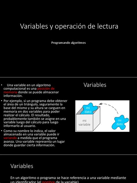 Variables Pdf Lenguaje De Programación Variable Informática