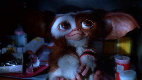 Gizmo ️ Dulzura Les Gremlins Gremlins Gizmo 80s Movies Horror Movies