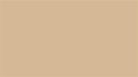 Beige Color Code Explore The 15 Best Brown Color Palettes & Ideas For
