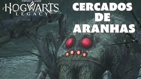 Hogwarts Legacy Ep 10 Cercados De Aranha YouTube